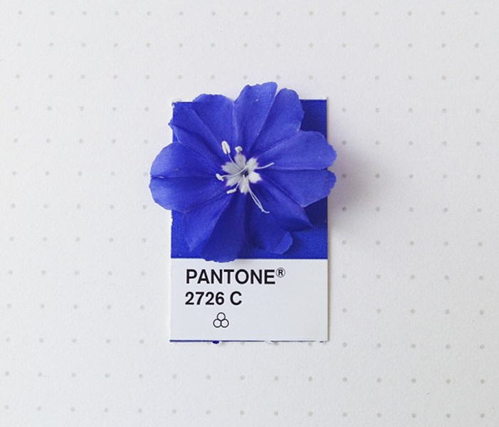 Pantone Colors * in Tiny Objects