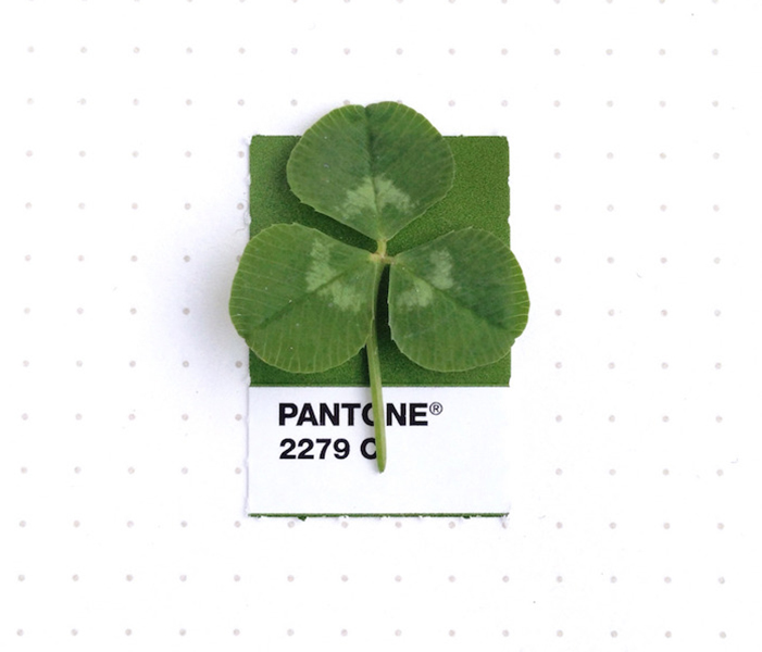 Pantone Colors * in Tiny Objects