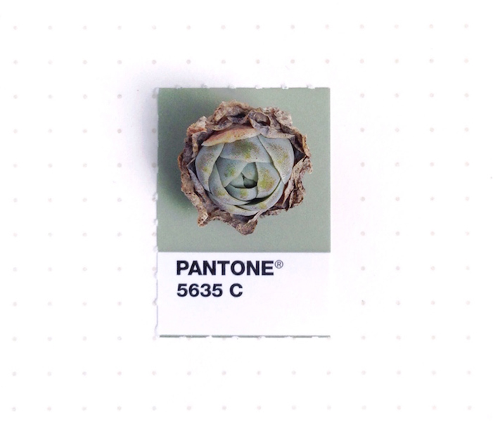 Pantone Colors * in Tiny Objects