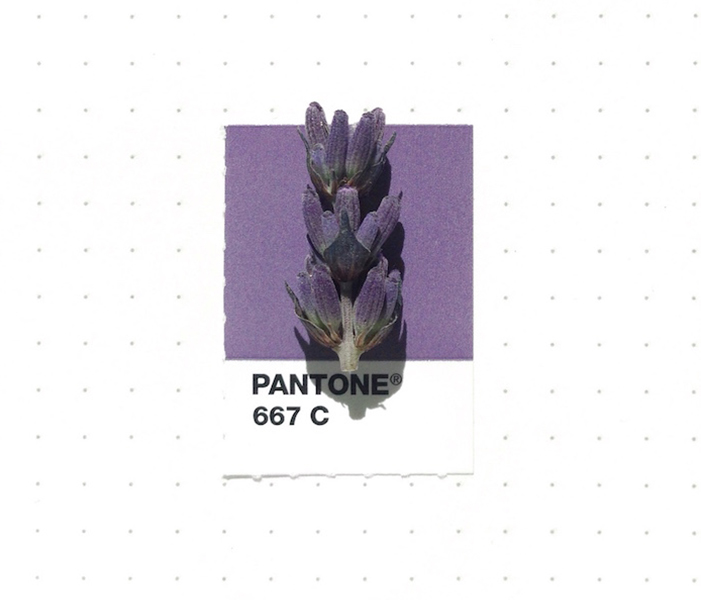 Pantone Colors * in Tiny Objects