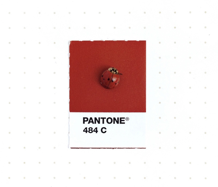 Pantone Colors * in Tiny Objects