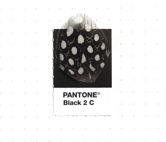 Pantone Colors * in Tiny Objects