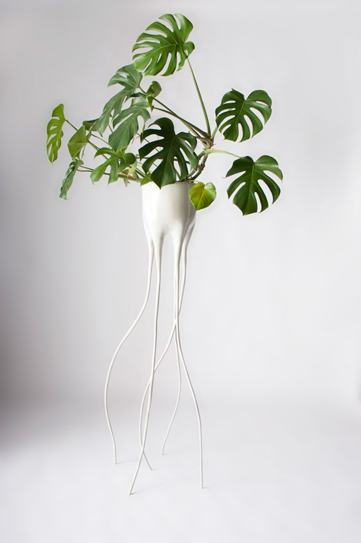 Monstera Plant Pots By Tim Van De Weerd