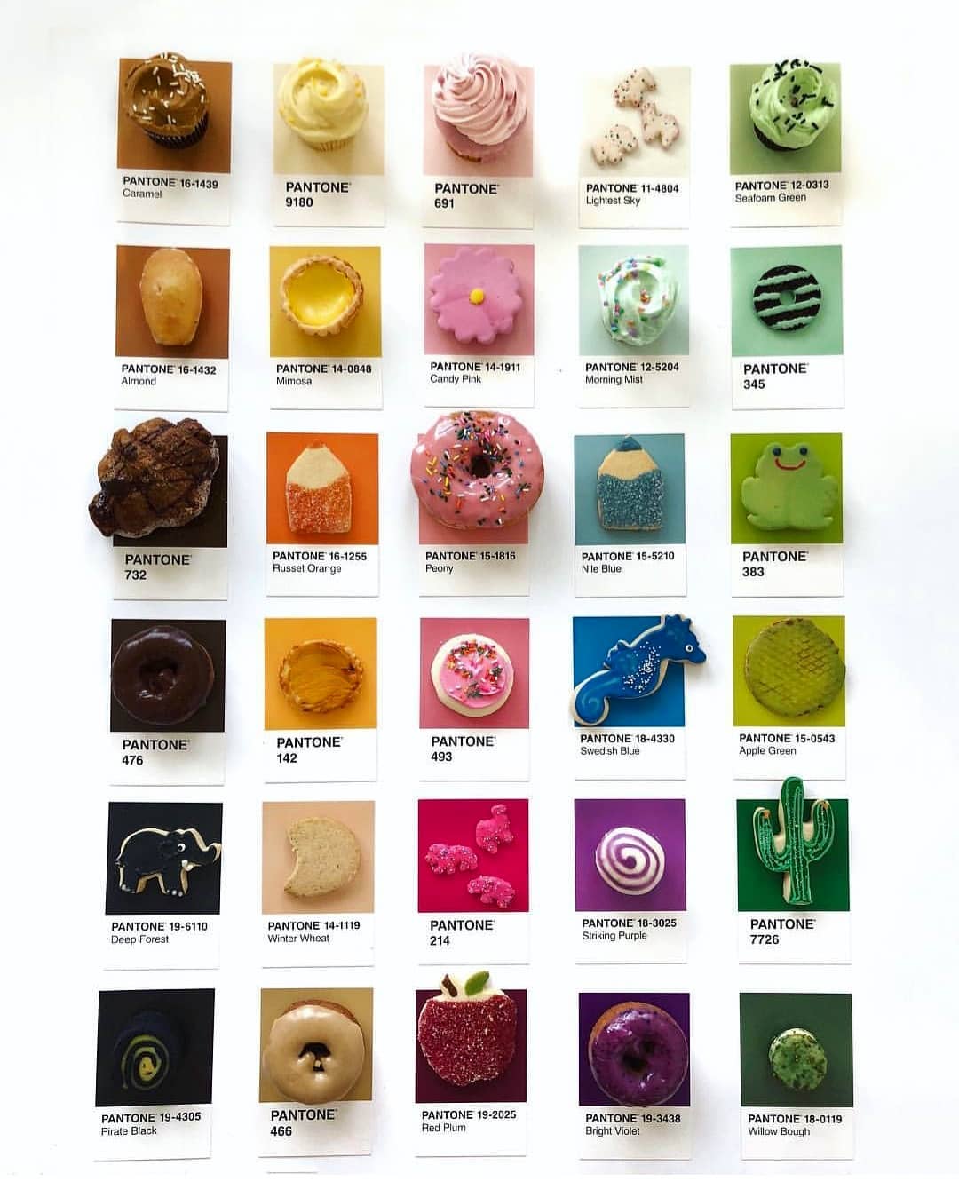 lucy litmans pantone pairing food cards